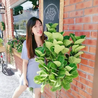 Hew Fen profile