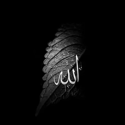 💖heyahaider💖 profile
