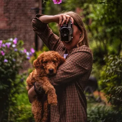 Renee Jordan • Boston profile