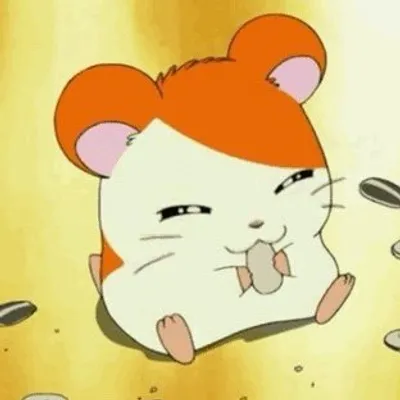 방가방가냠토리🐹 | 먹스타그램 profile
