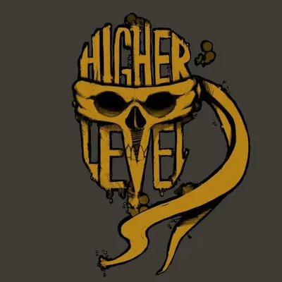 Higher Level MMA profile