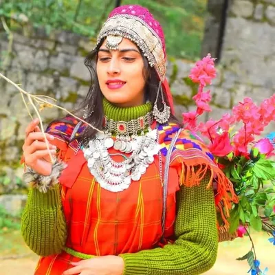 Himachali Insta⛰️❤️ profile