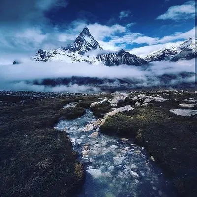 himalayan_hippie° profile