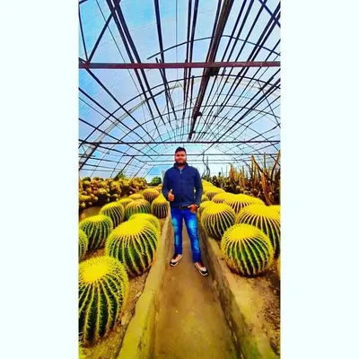 Himangshu barman profile