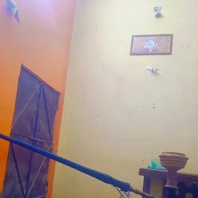 Himanshu_Rastogi_�� profile