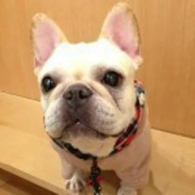 ヒメママ profile