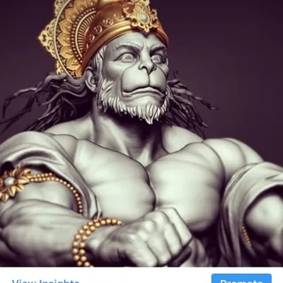 HINDUTVA profile