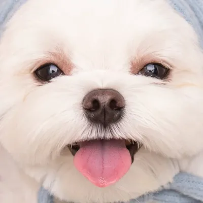 ෆ힝구곤듀ෆ profile