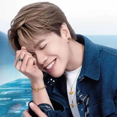 Hins Cheung 張敬軒 profile