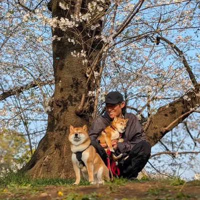 Hirotake Kubo 久保裕丈 profile