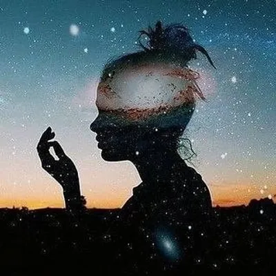 Histopry 🗨 profile