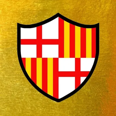 Historia de Barcelona S.C. profile