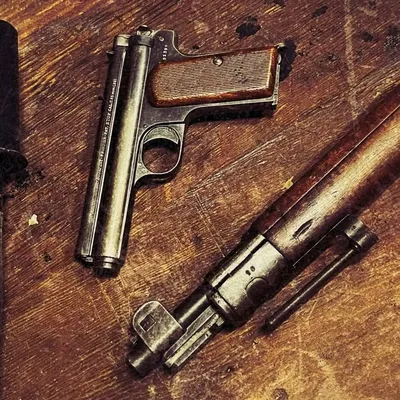 History of guns profile