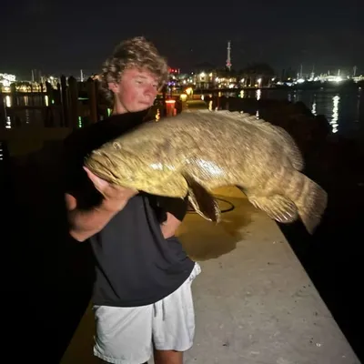 Hudson Kroenig profile