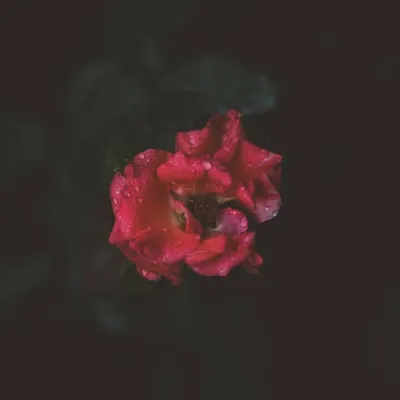 H&M Photography profile