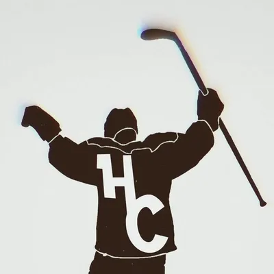 Hockey Checkup profile