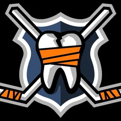 HockeyFights dot com profile