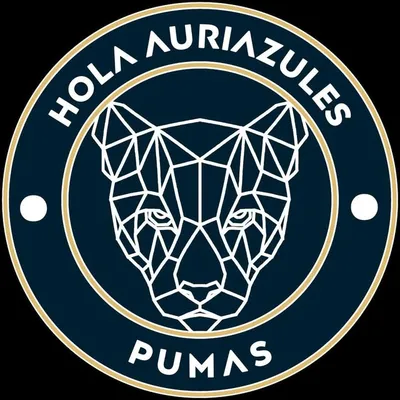 ¡Hola Auriazules!👋🏽 profile