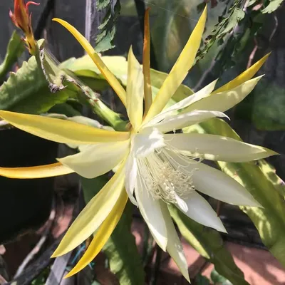 Floral Studio profile