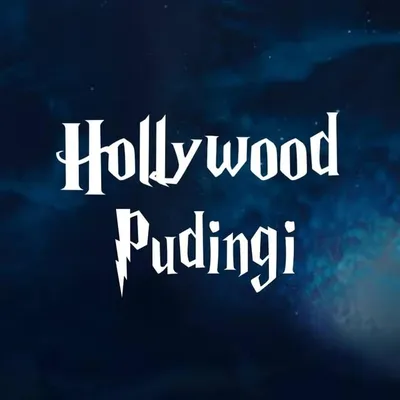 Hollywood Pudingi profile