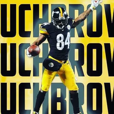 Home of the Steelers Fan Base profile