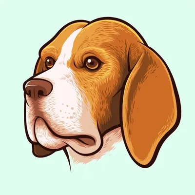 Beagles profile