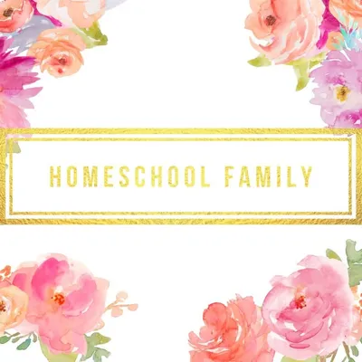 Homeschool Family ๐๐ฑ๐ฟ profile
