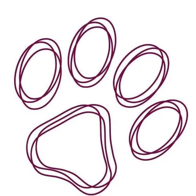 Hope Rescue profile