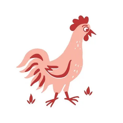 Hop's Chicken profile