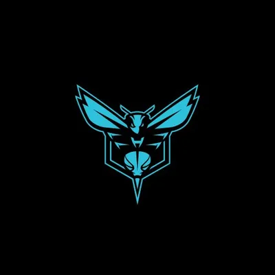 Charlotte Hornets profile