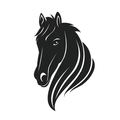 Horse profile