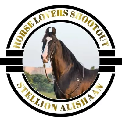 HORSE LOVERS SHOOTOUT profile