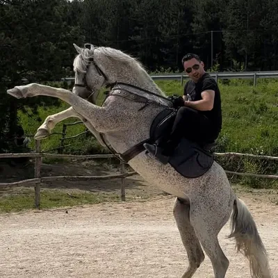 FC Ahmet profile
