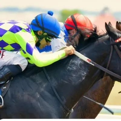 Horse For Sale India ๐ฎ๐ณ profile