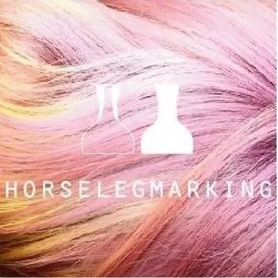 HORSELEGMARKING profile