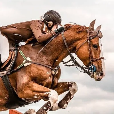 HorseRiders&Lovers profile