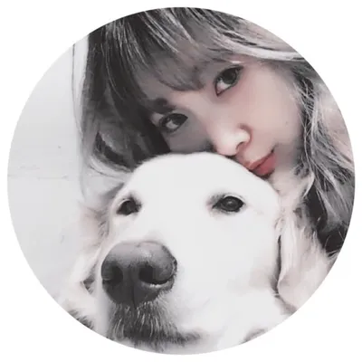 misa hoshi profile