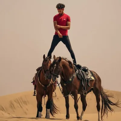 STUNT_RIDER ๐ฒ๐ฆ profile