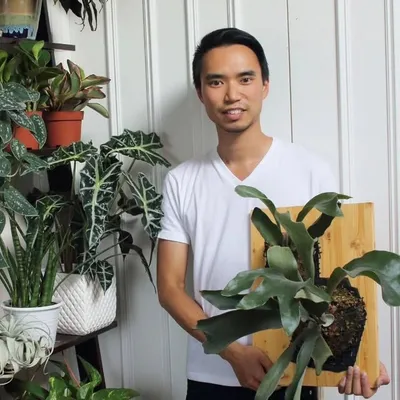 Darryl Cheng profile