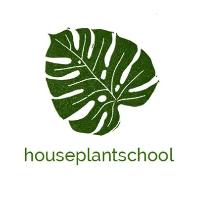 houseplantschool profile