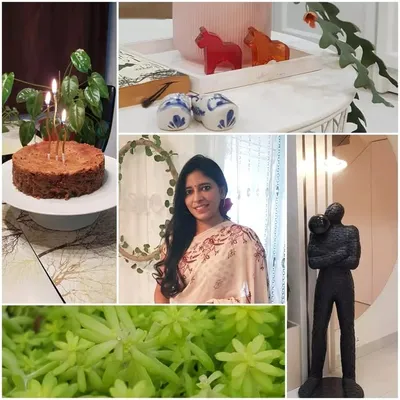 Poonam | ๐ฎ๐ณ home decor & kitchen finds profile