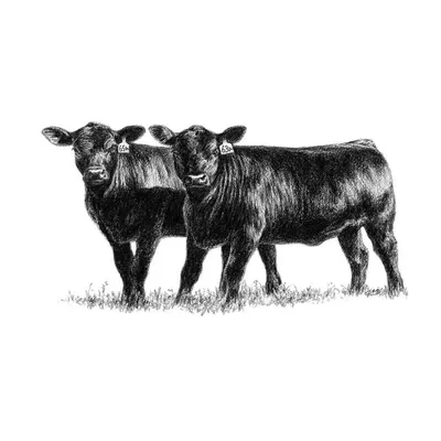 How Farms Work profile