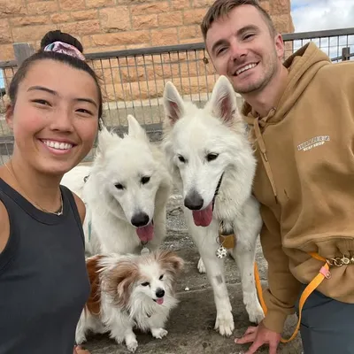 Pets and Regrets profile