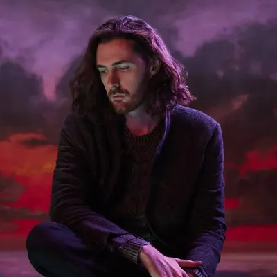 Andrew Hozier-Byrne profile