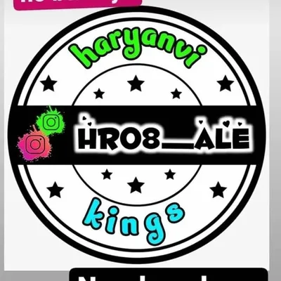 Haryanvi Kings profile