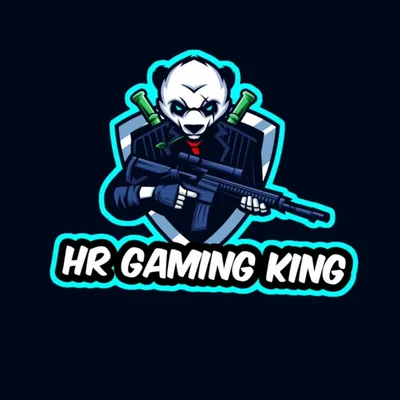 HR GAMING KING 🤴 profile
