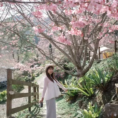 三寶媽咪Angel愛旅行🧳⛺️✈️ profile