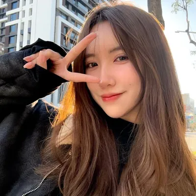 李 欣 profile