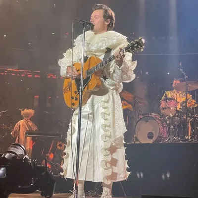 harry styles fans fan account profile