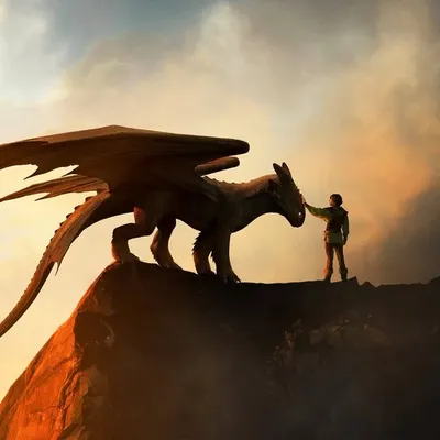 How to Train Your Dragon profile